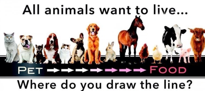 Această imagine are atributul alt gol; numele fișierului este Screenshot-2025-03-30-222735.png